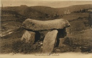 Dolmen du Parc (Saint-Nectaire) - PID:21528