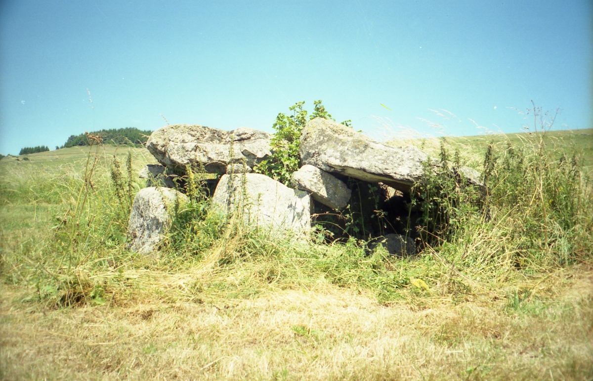 Dolmen dit la Pierre au Prat