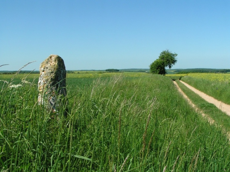 Pierre-Fiche (Aignay-le-Duc)