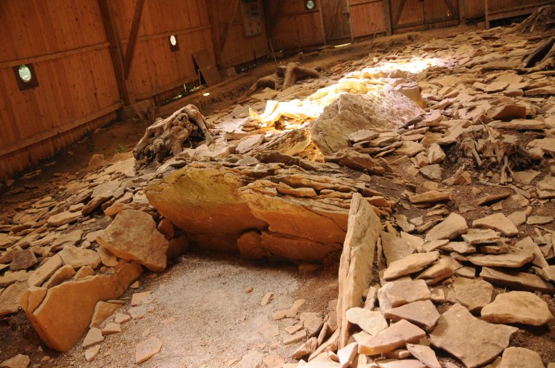 Dolmen du Bois de Blusseret 1