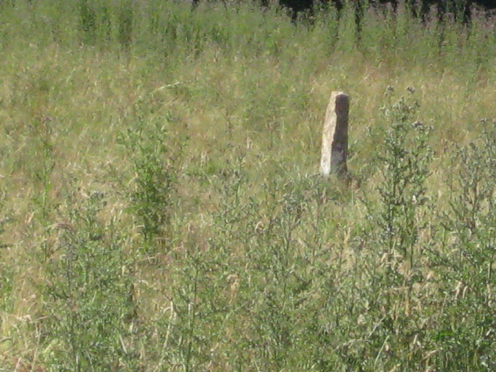 Menhir-Sainte-Christine