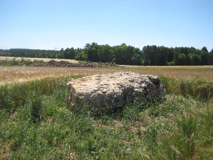 La Grande Borne (Coulmier-le-Sec)