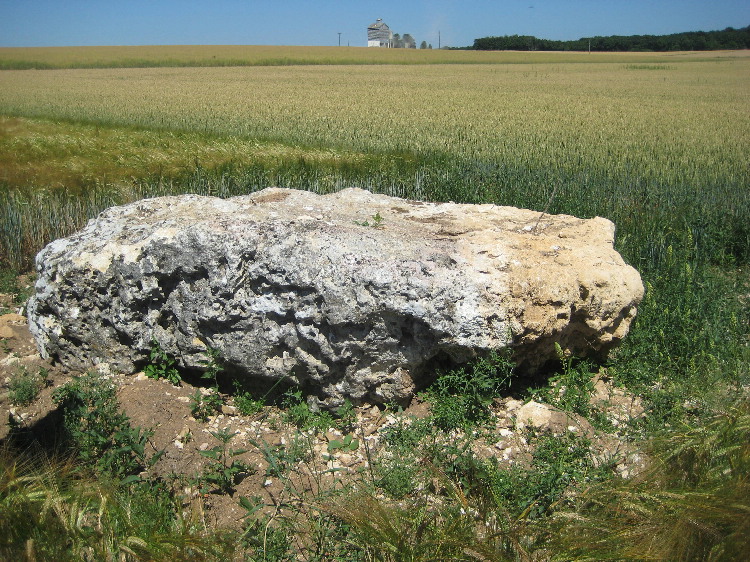 La Grande Borne (Coulmier-le-Sec)