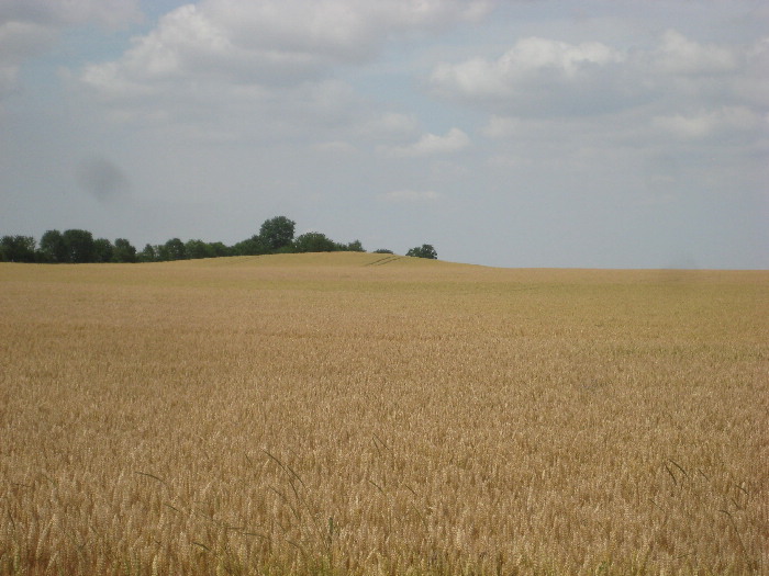 Tumulus de la Motte