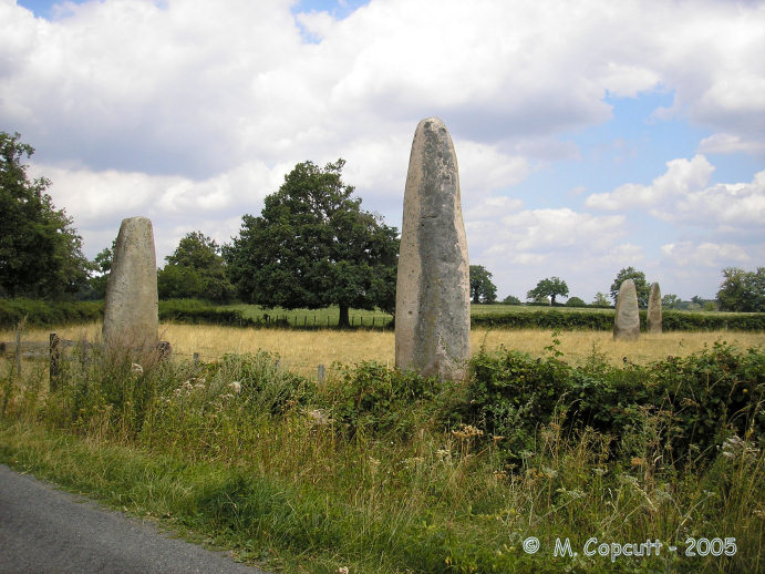 Menhirs d'Epoigny