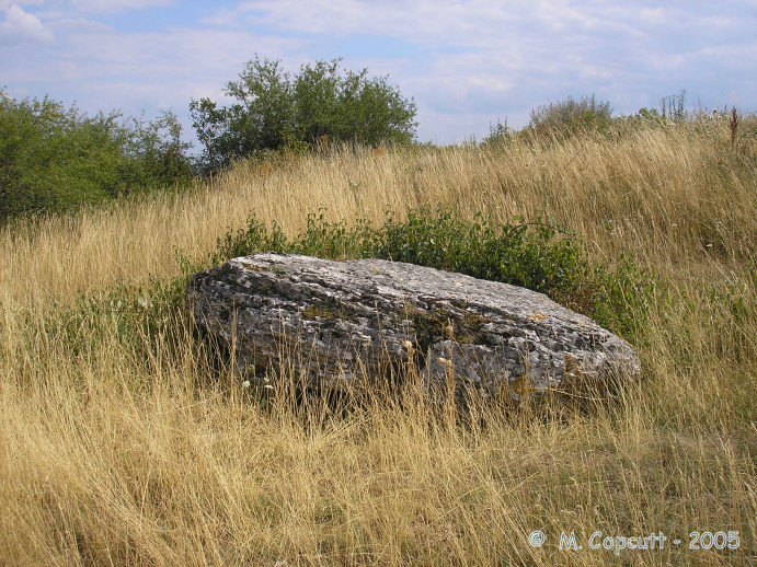 La Pierre qui Vire (Rochepot)