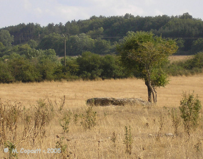 Dolmen dit la Pierre-Brûlée