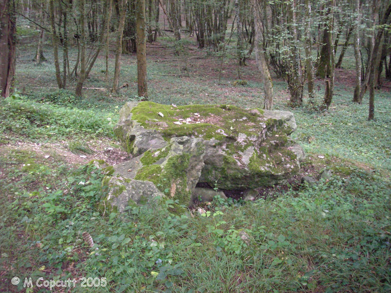 Grand dolmen de Trainel