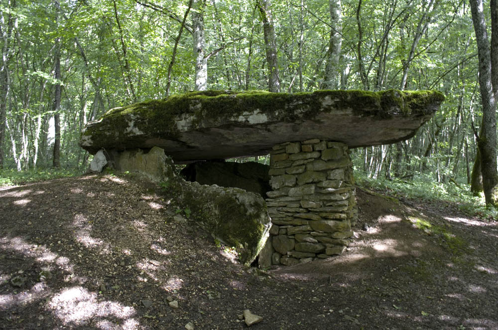 Dolmen du Bois-de-Monfarbeau 2