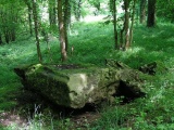 Grand dolmen de Trainel - PID:48208