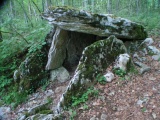 Dolmen du Bois-de-Monfarbeau 1 - PID:48134