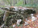 Dolmen du Bois-de-Monfarbeau 1 - PID:51621