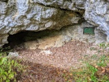 Grottes d'Arcy-sur-Cure - PID:213946