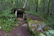 Dolmen du Bois-de-Monfarbeau 1 - PID:134389