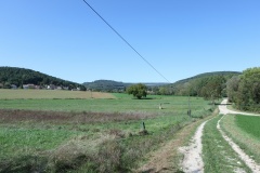 Menhir de Meuilley - PID:297230