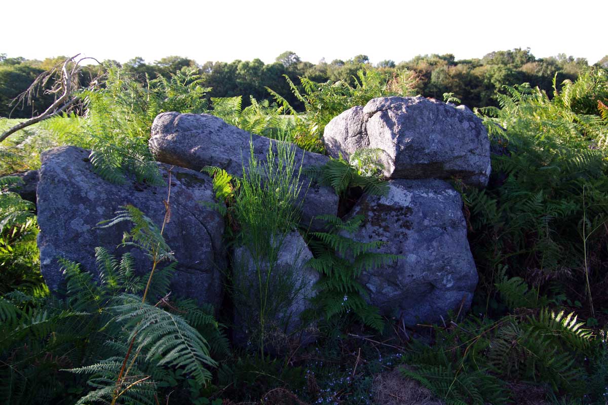 Allée couverte et alignement de menhirs indicateurs de Saint-André, (Classement, 1970)

By Dolly11 (Own work) [CC BY-SA 3.0], via Wikimedia Commons
