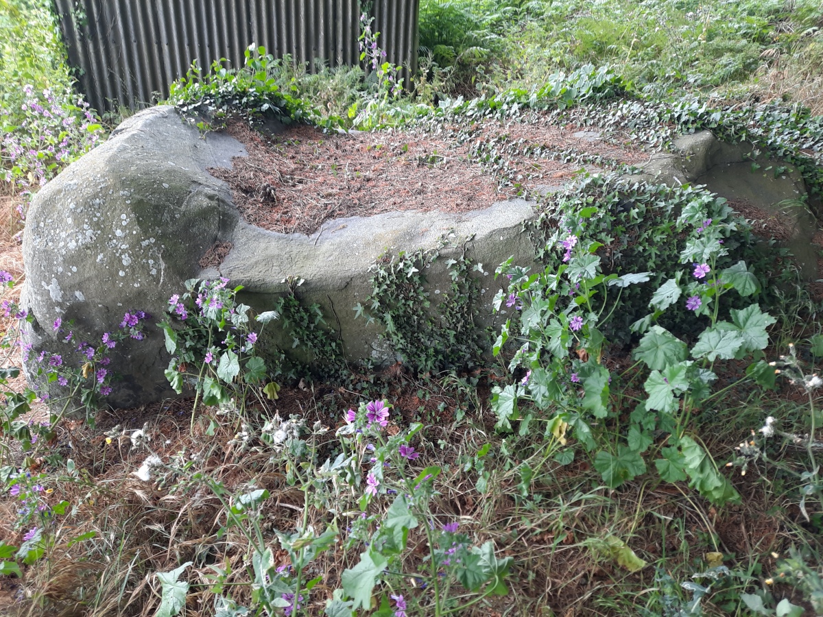 Click for the gallery page to add comments and vote (PID:260499) Menhir Lit de Margot