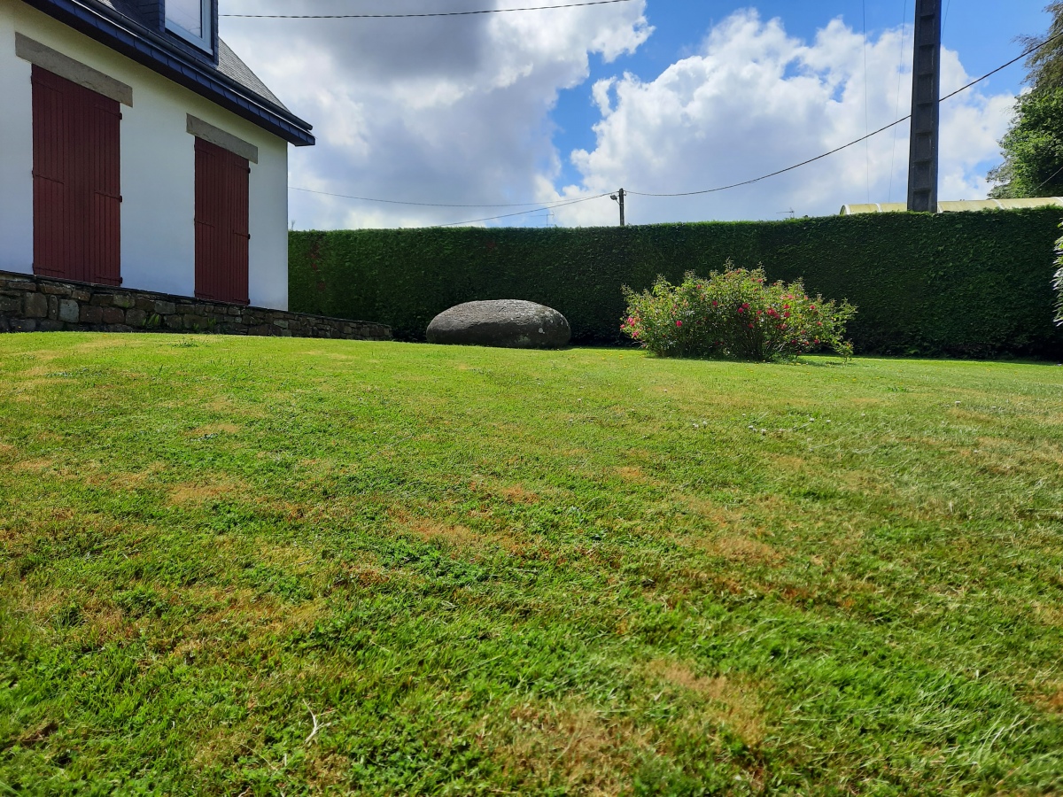 Click for the gallery page to add comments and vote (PID:260520) Menhir de la Saudraie