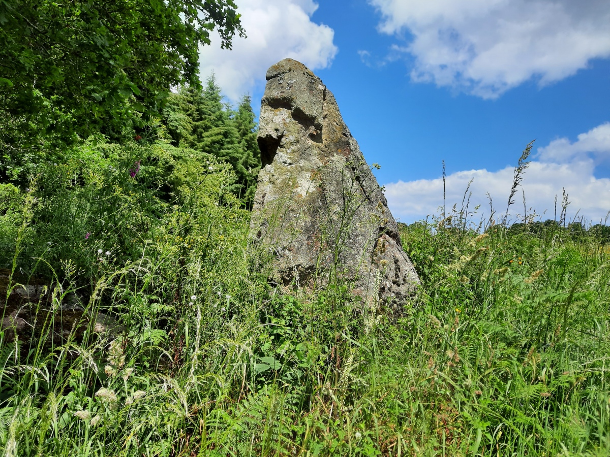Click for the gallery page to add comments and vote (PID:260557) Menhir de Prétoquis