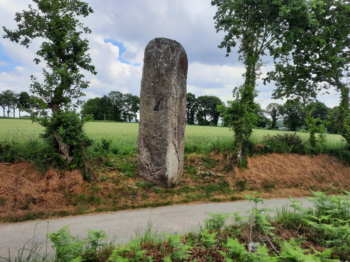 Click for the gallery page to add comments and vote (PID:260571) Menhir du Bayo