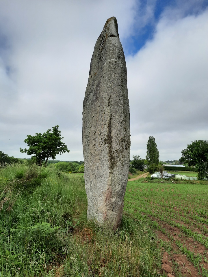 La Roche Longue (Quintin)