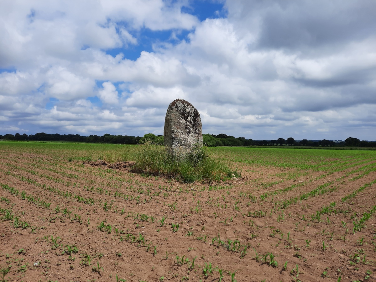 Click for the gallery page to add comments and vote (PID:260635) Menhir de Keranhouët