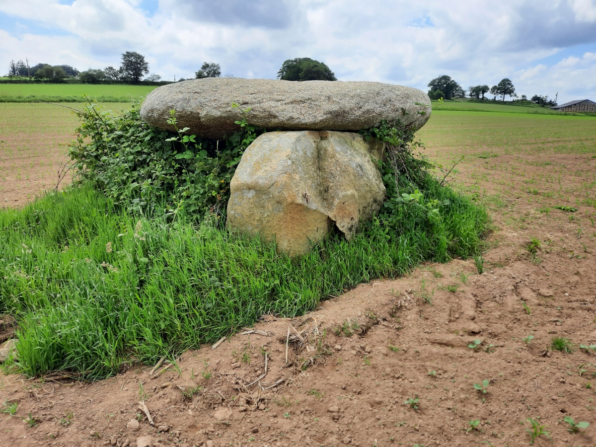 Dolmen de Pasquiou