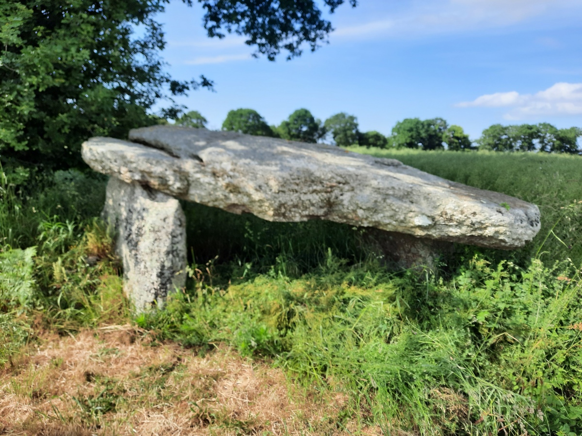 Click for the gallery page to add comments and vote (PID:260683) Dolmen du Carouge