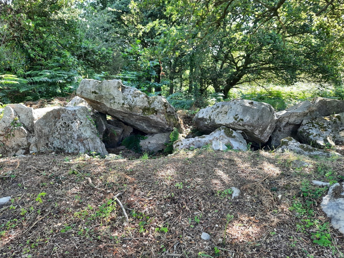 Allée couverte de la Bourdonnais