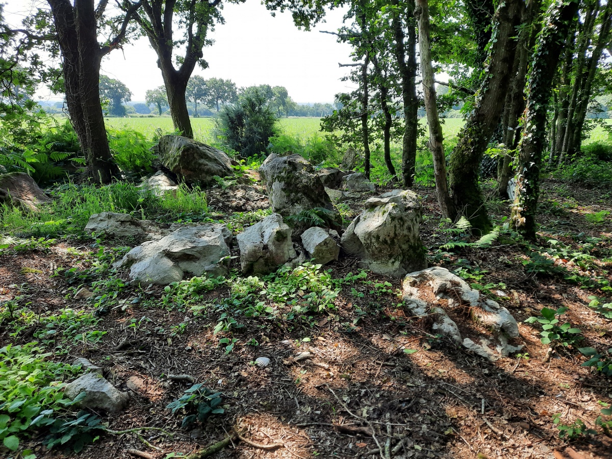 Click for the gallery page to add comments and vote (PID:261521) Allée Couverte du Champs des Caves