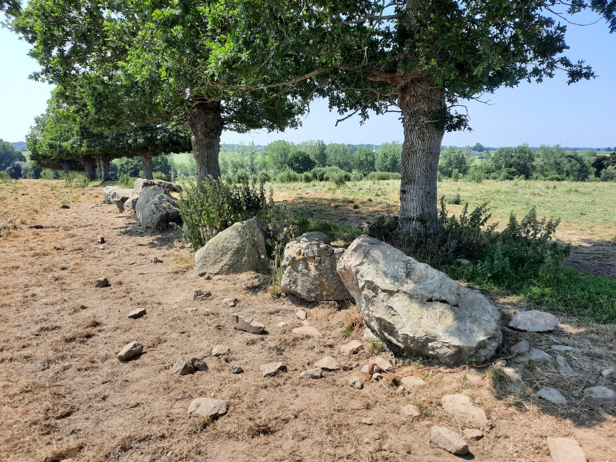 Click for the gallery page to add comments and vote (PID:261590) Allée Couverte des Jeannetières