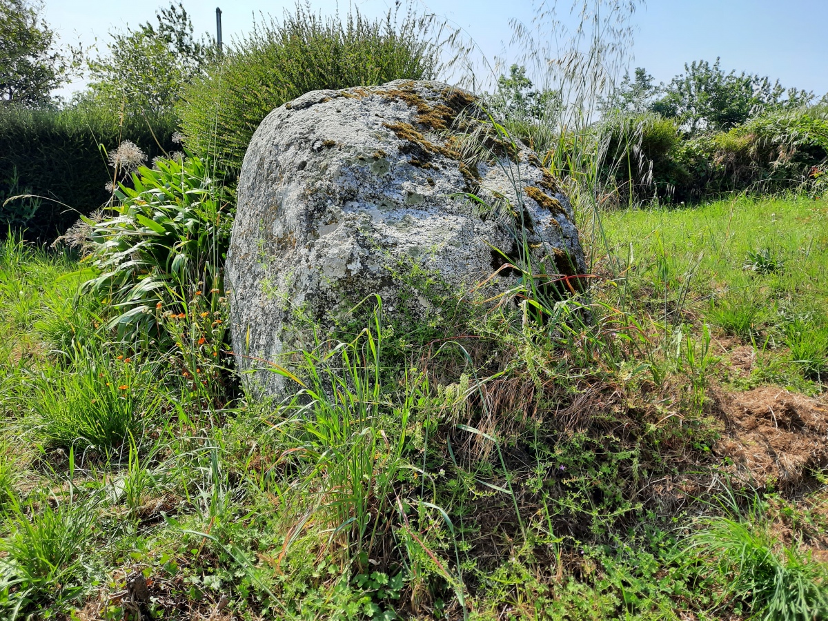 Menhir du Tertre