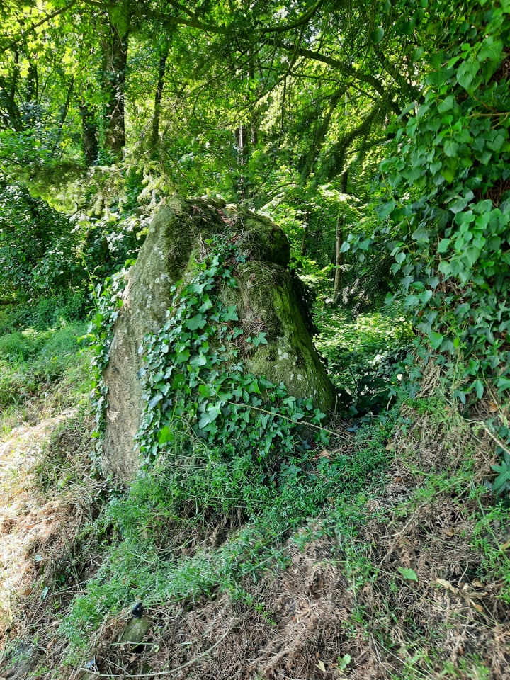 Menhir de Brigneul