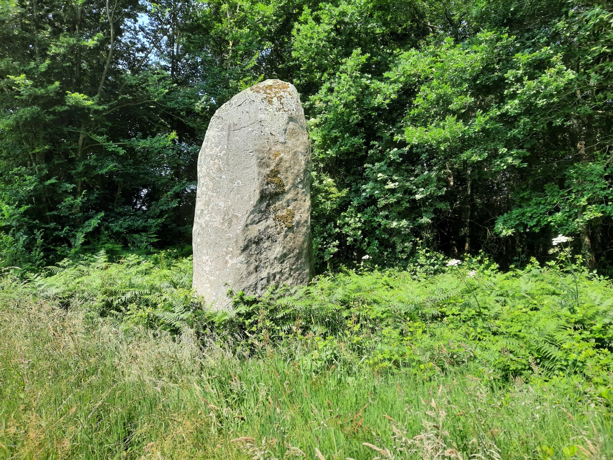 Menhir de Perfaux B