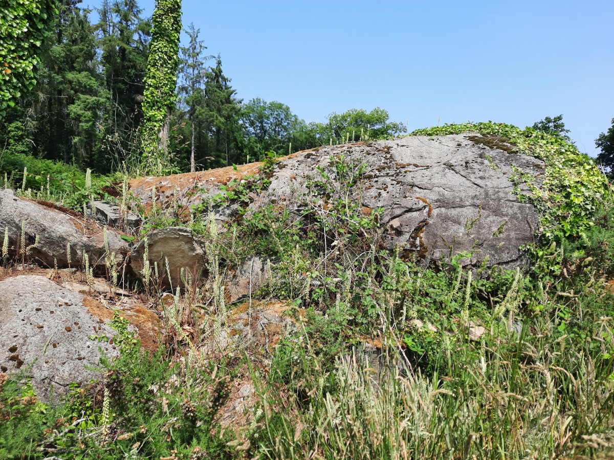 Menhir de Perfaux C