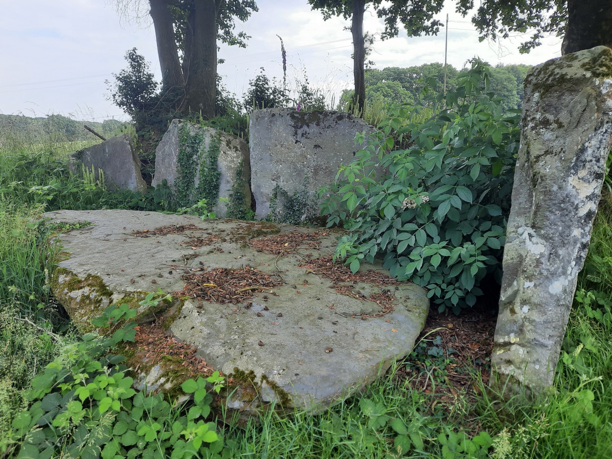 Allée Couverte de Kérivalan