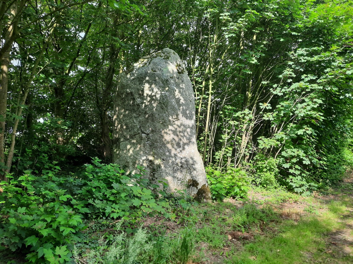 La Roche Longue (Plémy)