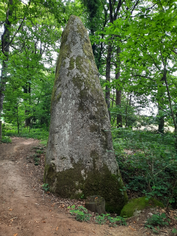 Pellionnaie menhir