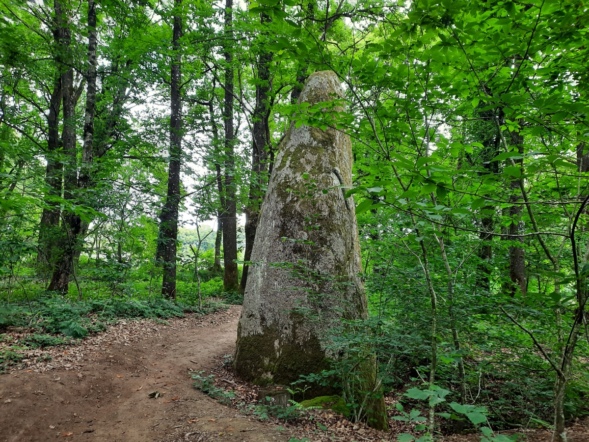 Pellionnaie menhir