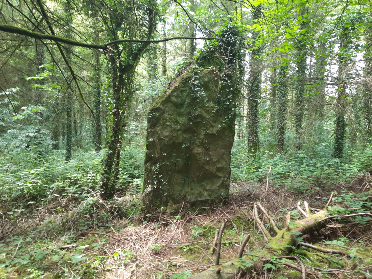 Menhir de Bourlousson