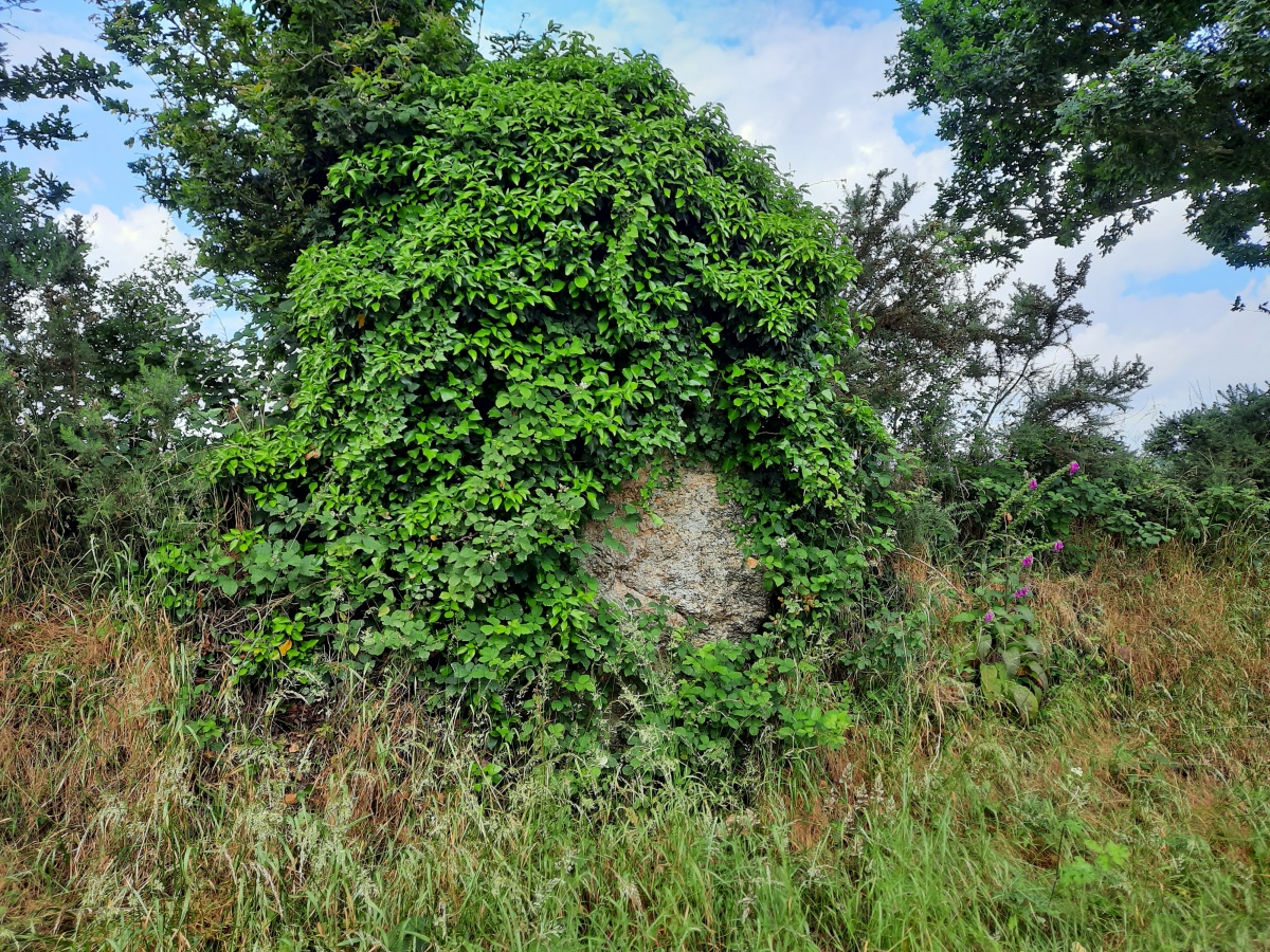 Menhirs de Kerdudalou