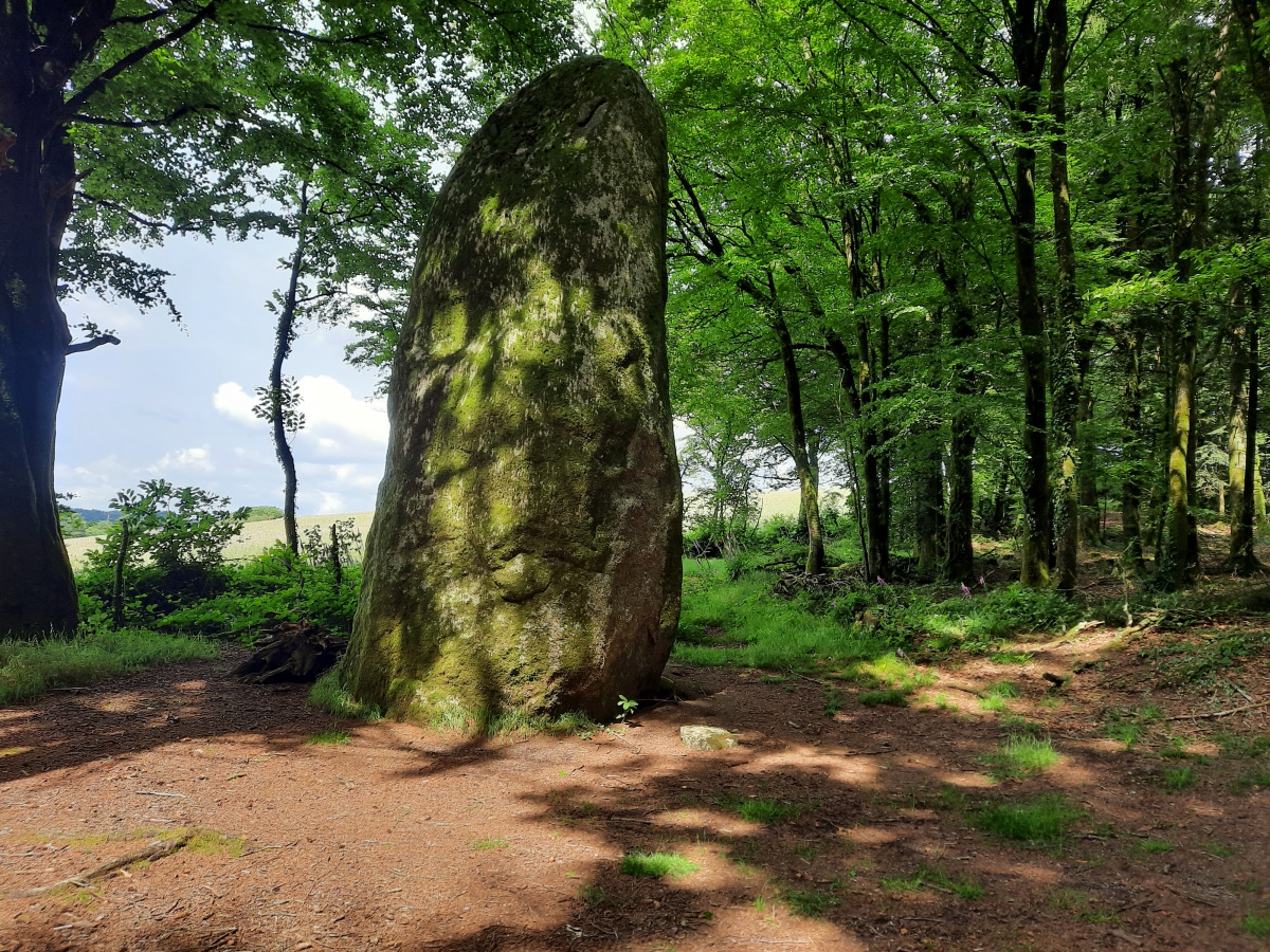 Coat Castel Menhir