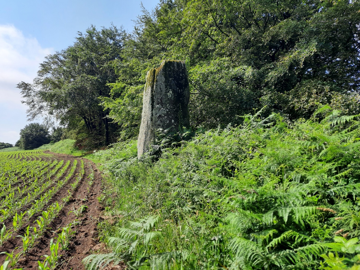 Click for the gallery page to add comments and vote (PID:267472) Menhir de Creac'h-an-Archant