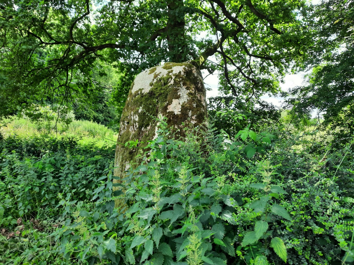 Menhir de Crech Quenez Bras