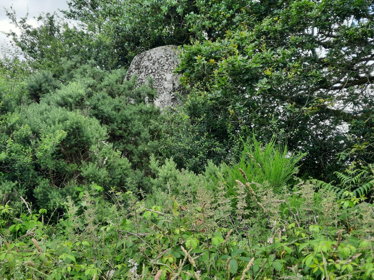 Click for the gallery page to add comments and vote (PID:267482) Menhir de Kerbalenou
