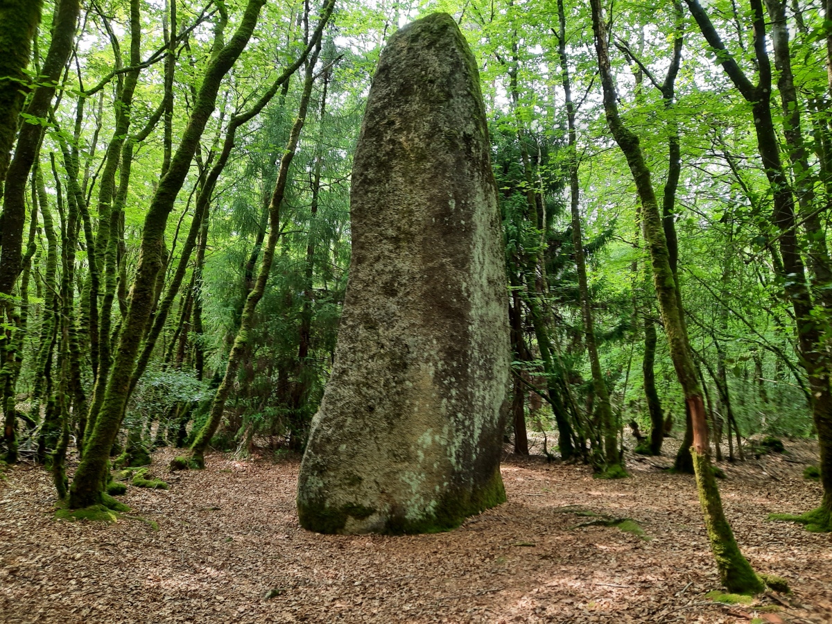 Menhir dit la Dent de Saint-Servais