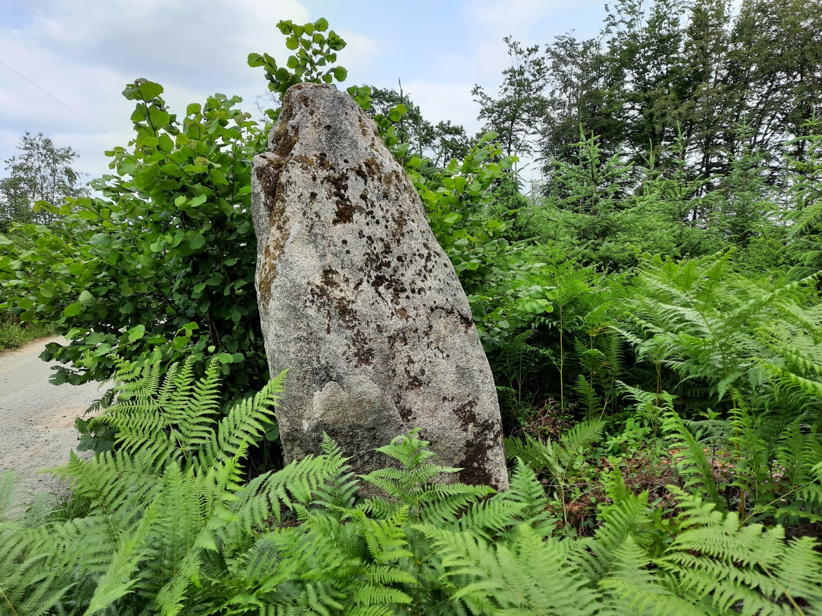 Menhir de Kercourtois 2