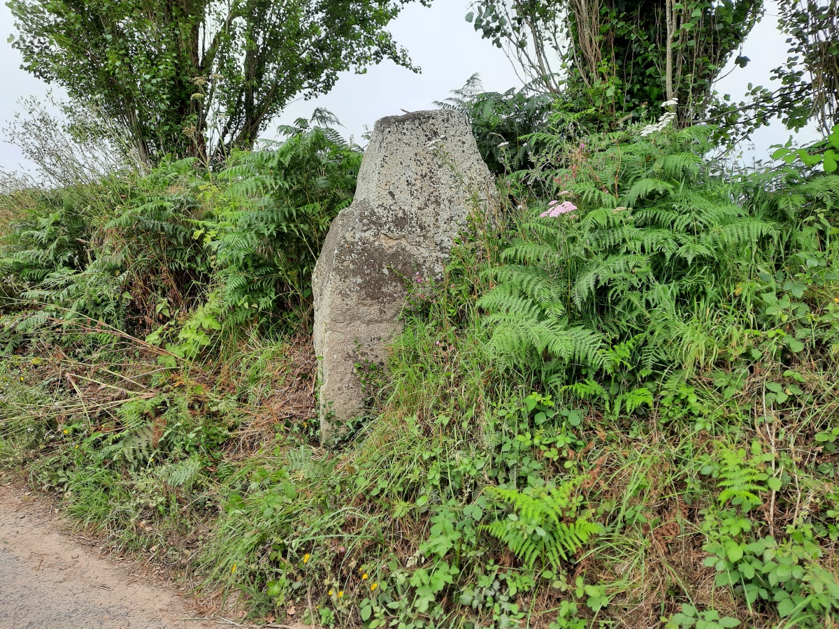 Click for the gallery page to add comments and vote (PID:267936) Menhir de Kergastel