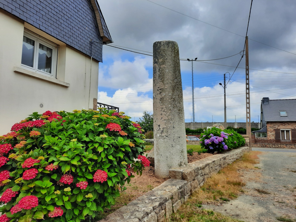 Click for the gallery page to add comments and vote (PID:267964) Stèle de Saint-Patrice