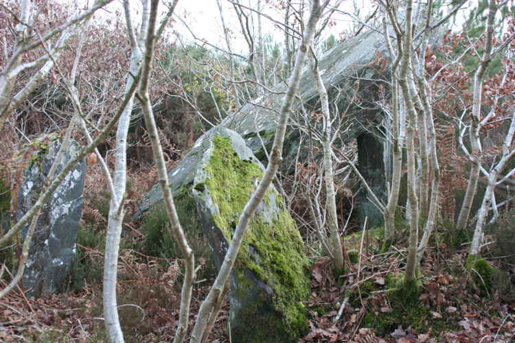 Bochacoat allée couverte